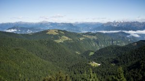 Valpore sul versante Nord del Grappa1