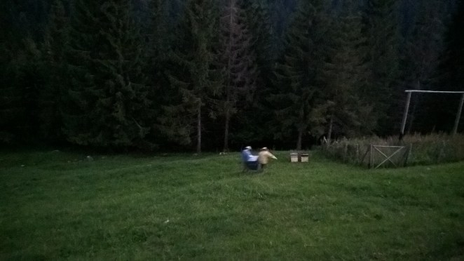 Posizionamento delle arnie di sera, col buio