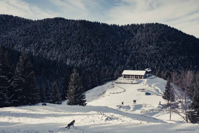 valpore-gennaio-2017